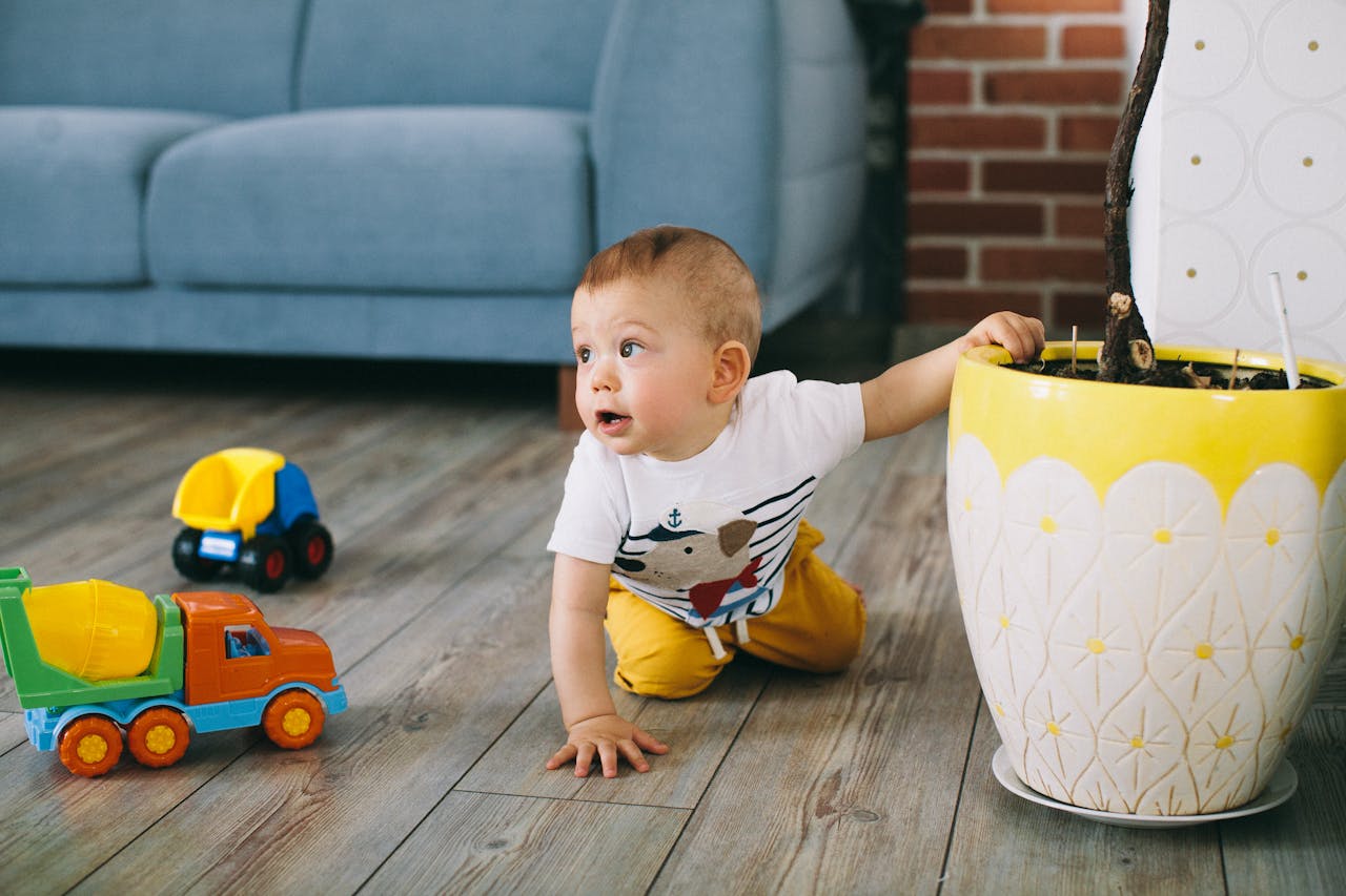 Cute baby boy crawling indoors surrounded by colorful plastic toy trucks.